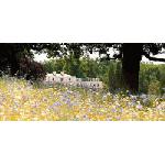 Великобритания: открылся новый эко-отель Coworth Park, сети Dorchester Collection